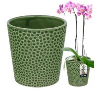 KOTARBAU® Pot De Fleur Rond En Céramique Vert ⌀ 9,5 cm | Cache Pot Céramique | Pot Céramique Plante | Pot De Fleur Céramique | Pot De Fleur En Céramique | Pot De Fleur Céramique | Pot Pour Orchidées