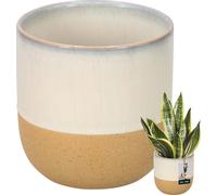 KOTARBAU® Pot de fleurs Beige Crème Orange Céramique Hauteur 13 cm ⌀ 13 cm Cache-pot pour salon Handmade Pot de plantes pour jardin & balcon Vintage Pot de plantes Beige