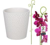 KOTARBAU® Pot de fleurs blanc en céramique émaillée - 15 cm - Avec support pour plante - En PVC vert - 58 cm - Avec support pour fleurs - Tuteur d'orchidée - Barre de support décorative