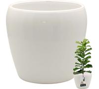 KOTARBAU® Pot de fleurs blanc intérieur rond ⌀ 17,5 cm H : 19 cm céramique émaillée Pots de fleurs intérieur Cache-pot céramique Pot de plantes intérieur Cache-pots orchidées Céramique Pot de fleurs g
