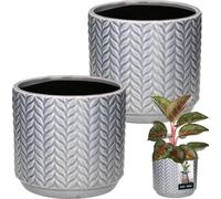 KOTARBAU® Pot de fleurs bleu Céramique ronde ⌀ 12 cm Hauteur 12,5 cm Céramique émaillée 2 pcs Cache-pot de fleurs grand Cache-pot Céramique Pot de fleurs Céramique