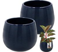 KOTARBAU® Pot de fleurs bleu cobalt Céramique ronde ⌀ 12 cm Hauteur 14 cm Céramique émaillée 2 pcs Cache-pot de fleurs grand Cache-pot Céramique Pot de fleurs Céramique