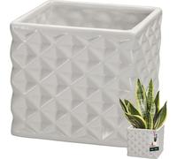 KOTARBAU® Pot de fleurs céramique émaillée Carré blanc 14 x 14 cm H 13 cm Cache-pots pour plantes d'intérieur Orchidées & succulentes Pot de plantes Pots de fleurs Cache-pot Pot de fleurs carré Collec