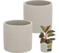 KOTARBAU® Pot de fleurs céramique grand cylindre Ethno ⌀ 16 cm hauteur 15 cm 2 pcs Cache-pot de fleurs céramique aspect béton petits cache-pots pot céramique plantes