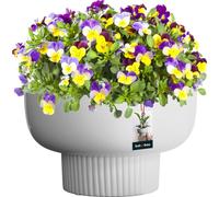KOTARBAU® Pot de fleurs en céramique ⌀ 24 cm Hauteur : 16,5 cm Blanc Cache-pot Fleurs Pots de fleurs en céramique Pot de fleurs en céramique Cache-pot pour plantes d'intérieur Cache-pot blanc