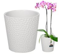 KOTARBAU Pot de fleurs en céramique émaillée - Blanc - : 9,5 cm - H : 11 cm - Pot à orchidée - Pour plantes d'intérieur