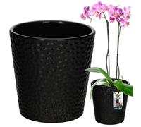 KOTARBAU Pot de fleurs en céramique émaillée - Noir - : 9,5 cm - H : 11 cm - Pot à orchidée - Plantes d'intérieur
