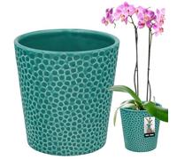 KOTARBAU Pot de fleurs en céramique émaillée, turquoise, diamètre : 12 cm, hauteur : 15 cm, pot à orchidées, moderne, pour plantes d'intérieur