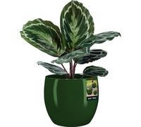 KOTARBAU® Pot de fleurs en céramique rond ⌀ 26 cm Hauteur : 26 cm Vert Cache-pot en céramique Cache-pot pour plantes d'intérieur Pot de fleurs moderne petits cache-pots Pot de plantes en céramique Pot