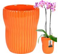 KOTARBAU® Pot de fleurs jaune moutarde foncé intérieur rond ⌀ 11,5 cm H : 16,5 cm cannelé céramique émaillée Pots de fleurs intérieur Cache-pot céramique Pot de plantes intérieur Cache-pots orchidées 
