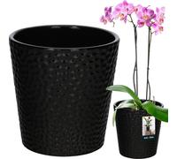 KOTARBAU® Pot de fleurs noir céramique émaillée ⌀ 9,5 cm Hauteur : 11 cm Pot d'orchidée Céramique Pots de fleurs Céramique Pot de plantes Pot de fleurs moderne Plantes d'intérieur