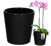 KOTARBAU Pot de fleurs noir en céramique émaillée, diamètre : 9,5 cm, hauteur : 11 cm, pot à orchidées, moderne, pour plantes d'intérieur