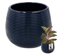 KOTARBAU® Pot De Fleurs Rond Bleu Cobalt avec ⌀ 12 Cm en Céramique Émaillée|Pot en Céramique Bleu Cobal|Cache-Fleur en Céramique Émaillée Cannelée|Pot De Fleurs avec Finition Brillante