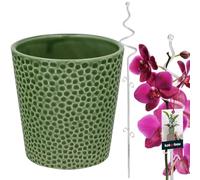 KOTARBAU® Pot de fleurs vert en céramique émaillée - 11 cm - Avec support pour plante - En PVC transparent - 58 cm - Avec support pour fleurs - Tuteur d'orchidée - Support décoratif