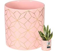 KOTARBAU® Rosa Cache-pot Céramique émaillée & brillante ⌀ 12 cm H : 14 cm Ornements dorés Cache-pot cylindrique pour plantes d'intérieur Pots de fleurs intérieur Pots plantes Cache-pots orchidées