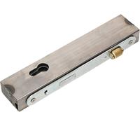 KOTARBAU Serrure à loquet à rouleau avec boîtier de serrure 30x50x245mm pour cylindre profilé pour portes d'entrée