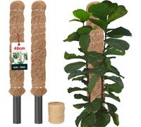 KOTARBAU® Set de 2 tuteurs de mousse pour Monstera Coco Natural ⌀ 2,5 x 40cm tuteur de plante Aide à la croissance pour plantes Monstera tuteur de plante Coco Moss Pole aide à la croissance Monstera t