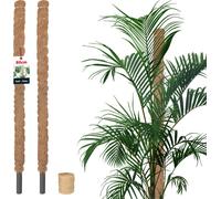 KOTARBAU® Set de 2 tuteurs de mousse pour Monstera Coco Natural ⌀ 2,5 x 80 cm Tuteur pour plantes Monstera Tuteur pour plantes Coco Moss Pole Tuteur pour plantes Monstera Tuteur pour fleurs Moss + cor