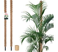 KOTARBAU® Set de 2 tuteurs de mousse pour Monstera Coco Natural ⌀3,2 x 120cm tuteur de plante Aide à la croissance pour plantes Monstera tuteur de plante Coco Moss Pole aide à la croissance Monstera t