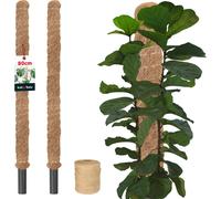 KOTARBAU® Set de 2 tuteurs de mousse pour Monstera Coco Natural ⌀ 3,2 x 80 cm Tuteur pour plantes Monstera Tuteur pour plantes Coco Moss Pole Tuteur pour plantes Monstera Tuteur pour fleurs Moss + cor