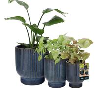 KOTARBAU® Set de 3 pots de fleurs en céramique ⌀ 18 cm / ⌀ 23 cm / 27 cm Bleu foncéTerrazzo Pot de fleurs Pots de fleurs en céramique Pot de fleurs en céramique Cache-pot en céramique pour plantes d'i