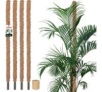 KOTARBAU® Set de 4 tuteurs de mousse pour Monstera Coco Natural ⌀2,5 x 100cm Tuteur de plante Aide à la croissance pour plantes Monstera Tuteur de plante Coco Moss Pole Aide à la croissance Monstera T