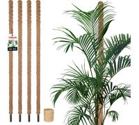 KOTARBAU® Set de 4 tuteurs de mousse pour Monstera Coco Natural ⌀3,2 x 150cm Tuteur pour plantes Monstera Tuteur pour plantes Coco Moss Pole Tuteur pour plantes Monstera Tuteur pour fleurs Moss + fice