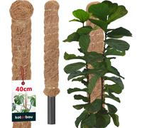 KOTARBAU® Tige de mousse pour Monstera Coco Natural ⌀ 2,5 x 40 cm Tige de plante Aide à la croissance pour plantes Monstera Tige de plante Coco Pole Moss Monstera Aide à la croissance Tige de fleur Mo