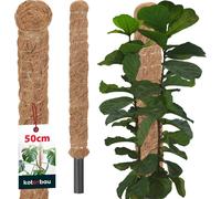 KOTARBAU® Tige de mousse pour Monstera Coco Natural ⌀ 2,5 x 50 cm Tige de plante Aide à la croissance pour plantes Monstera Tige de plante Coco Pole Moss Monstera Aide à la croissance Tige de fleur Mo