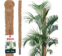 KOTARBAU® Tige de mousse pour Monstera Coco Natural ⌀ 2,5 x 80 cm Tige de plante Aide à la croissance pour plantes Monstera Tige de plante Coco Pole Moss Monstera Aide à la croissance Tige de fleur Mo