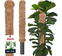 KOTARBAU® Tige de mousse pour Monstera Coco Natural ⌀ 3,2 x 40 cm Tige de plante Aide à la croissance pour plantes Monstera Tige de plante Coco Pole Moss Monstera Aide à la croissance Tige de fleur Mo