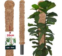 KOTARBAU® Tige de mousse pour Monstera Coco Natural ⌀ 3,2 x 50 cm Tige de plante Aide à la croissance pour plantes Monstera Tige de plante Coco Pole Moss Monstera Aide à la croissance Tige de fleur Mo