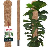 KOTARBAU® Tige de mousse pour Monstera Coco Natural ⌀ 3,2 x 80 cm Tige de plante Aide à la croissance pour plantes Monstera Tige de plante Coco Pole Moss Monstera Aide à la croissance Tige de fleur Mo