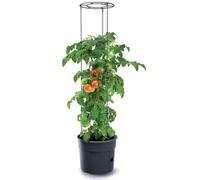 KOTARBAU® Tour de tomates - 110 cm - Tuteur pour tomates, concombres, légumes - Treillis réglable - Tour de plantation - Diamètre : 30 cm - Noir - Plastique