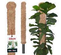 KOTARBAU® Tuteur Plante Intérieur De ⌀ 2,5 x 50 cm | Tuteur Coco | Tuteur Plante Grimpante | Tuteurs pour Plantes | Tuteur Monstera Deliciosa en Fibres De Coco | Support De Fleurs Grimpantes Poteau