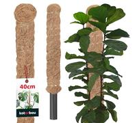 KOTARBAU® Tuteur Plante Interieur | Tuteur Coco | Tuteur Plante Grimpante, Tuteurs pour Plantes | Tuteur Monstera Deliciosa ⌀ 2,5 x 40 cm en Fibres de Coco