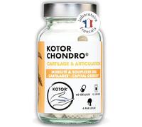 KOTOR CHONDRO | Régénère les Cartilages | Glucosamine + Chondroïtine Marine + Ortie + Manganèse + Vitamine C | Mobilité & Souplesse | 60 Gélules | Fabriqué en France