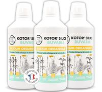 KOTOR SILICE BUVABLE 1L | Lot de 3 | Silicium Organique Francais & Naturel | Santé des Articulations, Cartilages, Os, Peau, Cheveux, Ongles | Silicium + Ortie + Prêle + Bambou | 3 mois