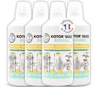 KOTOR SILICE BUVABLE 1L | Lot de 4 | Silicium Organique Francais & Naturel | Santé des Articulations, Cartilages, Os, Peau, Cheveux, Ongles | Silicium + Ortie + Prêle + Bambou | Francais