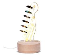 Kouamor Support de médiator lumineux en acrylique 3D LED pour guitare, accessoires de guitare et d'engrenage, médiators personnalisés, rangement et présentation des médiators pour les amateurs de
