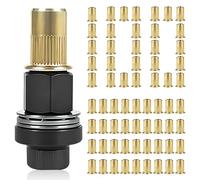KOVSGQ Insert Fileté Metal Ecrou a Sertir écrous à Tête de Rivet à Main écrous à Riveter 101 Stk pour Rivets M5 Outil Manuel à Sertir les écrou têtes de Riveteuse Manuelle(avec 100 écrous)