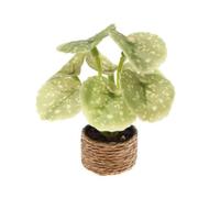 kowaku Accessoire on Ppée Polyvalente Plante Miniature Pot Tressé Décorative pr Diorama, Vert