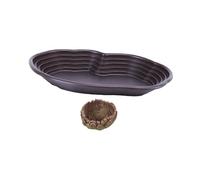 kowaku Ensemble de 2 Mangeoires pour Reptiles avec Rampe pour et Amphibiens, Piscine pour Dragons, Plateau Alimentaire Adapté, Pas de Drainage