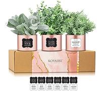 KOYAIRE 3 plantes artificielles de motivation pour bureau - Décoration or rose pour bureau - Petits accessoires de bureau à domicile - Décorations de bureau - Cadeaux de bureau roses