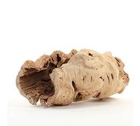 Koyal Wholesale Branche de Bois de Raisin Creuse de 25,4 cm, Vase de Centre de Table en Bois de Raisin, Plantes aériennes, décoration à Faire soi-même