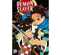Koyoharu Gotouge Burkhard H Demon Slayer 1 Kimetsu no yaiba (German Ver (Poche)