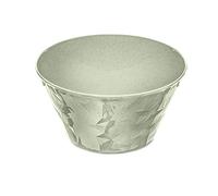 Koziol 3573668 CLUB BOWL S Bol à dessert en plastique 700 ml