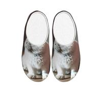 KPXXAQT Cry White Rabbit Print Chaussons d'intérieur unisexes pour adulte Anti-boulochage Lavable Maison pour invités et usage quotidien