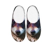 KPXXAQT Little Raccoon Face 1 Chaussons d'intérieur unisexes pour adultes Anti-boulochage Lavable Maison pour invités et usage quotidien