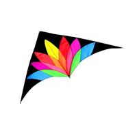 KQFCAZRE Fly Kite Unique Large Forme Oiseau Tissu Renforcé Multicolore Adapté aux Activités de Plein Air Adultes Vacances 200x90cm